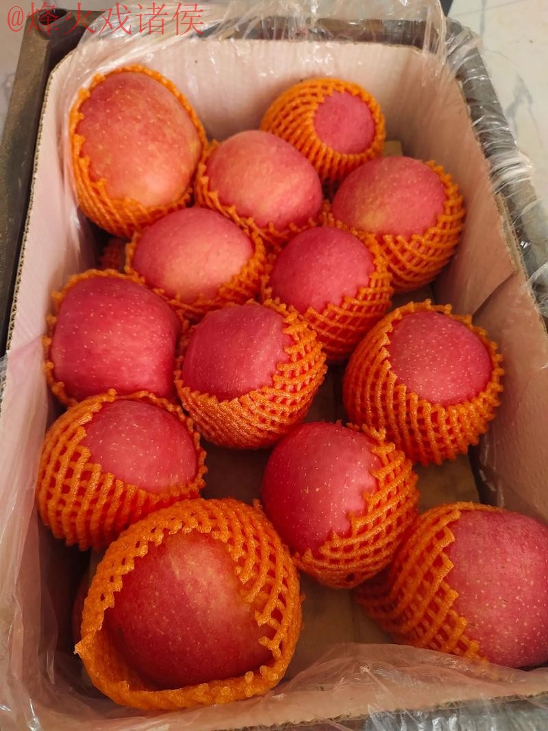 世界杯盘口苹果最佳